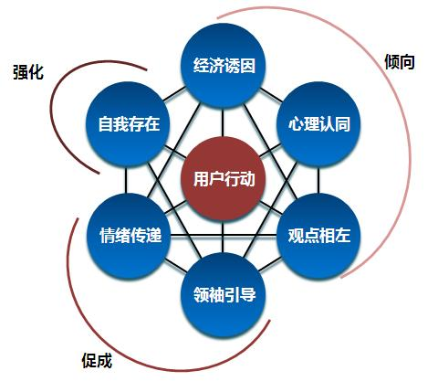 25粉丝的行为学